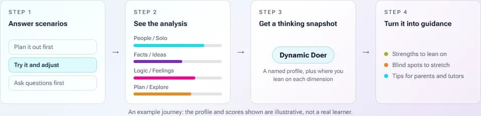 Sample Thinking Snapshot Assessment report